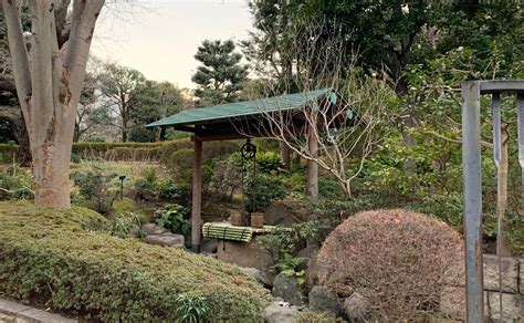 東京 龍脈|【東京】池田山公園｜龍穴のパワースポット 池田山公